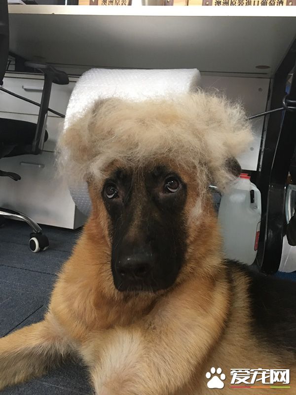 新做了个潮发型，感觉自己帅多了