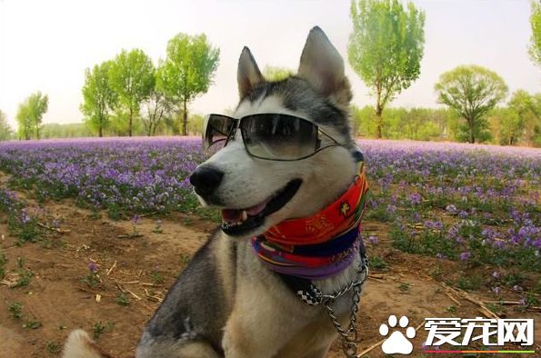 耍帅就这么自信