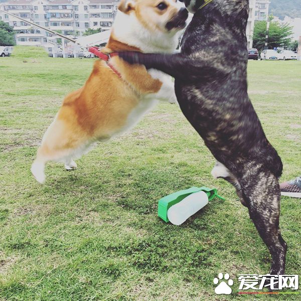 好久不见，唯有拥抱一诉想念之情