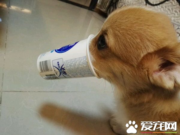 主银，我怎么感觉我的鼻子变长了