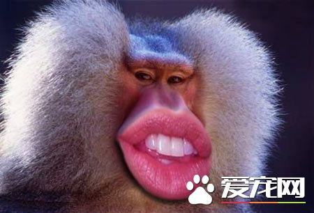 看哥的嘴唇性感不？