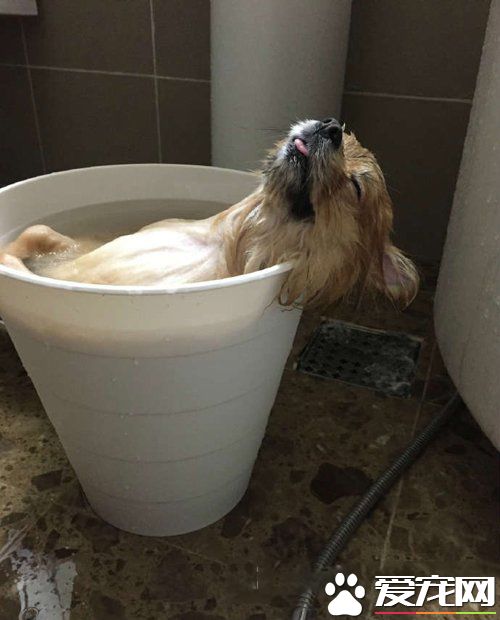 大热天这样泡个澡也是嗨翻天了