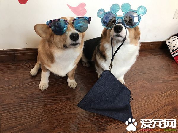 我们已经准备好了，可以带我们出去嗨皮啦