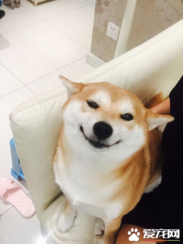 这邪魅一笑就问你迷不迷人