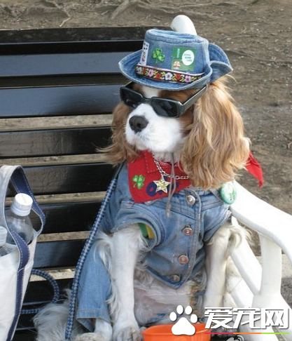 我只卖艺不卖身，大爷们给点钱吧