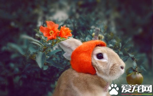 怎么样，我的新发饰美吗！