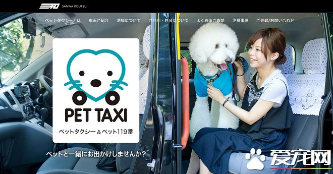 日推宠物计程车 就医美容更方便