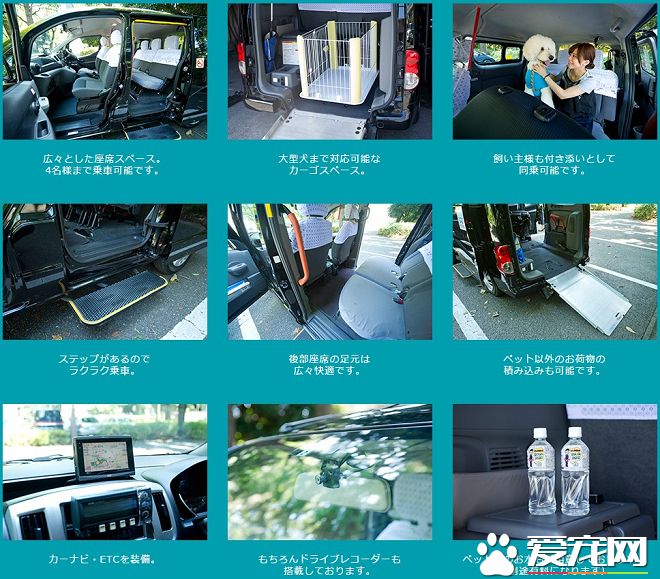 日推宠物计程车 就医美容更方便