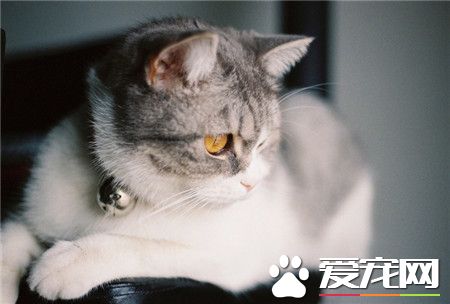 给我来张美照吧～