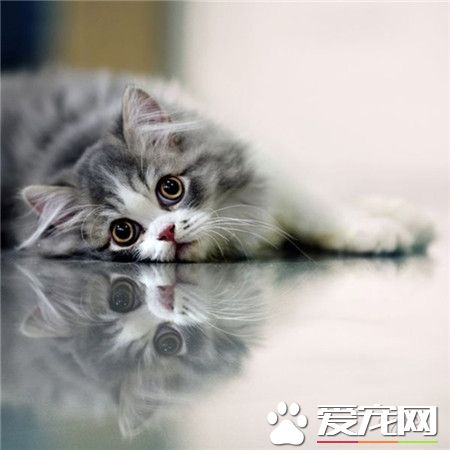 不要这么无辜的看着我，我会忍不住想要抱抱你。