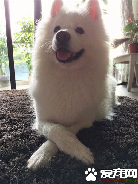 阳光照进来，心情也跟着好了许多！