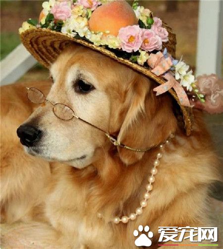 谁说戴了眼镜就不能优雅的？