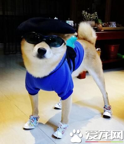 穿的这么酷炫，又去勾搭哪家的姑娘了？