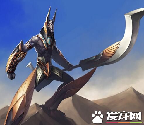 超强力汪星人战士