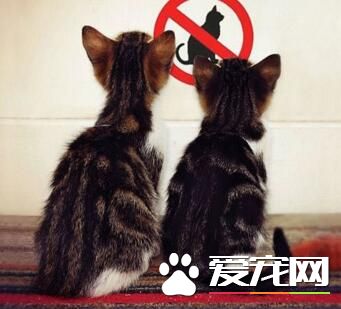 接受还是反抗？~