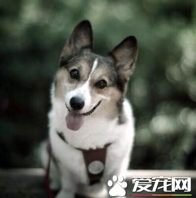 照相的话就要来个大大的微笑