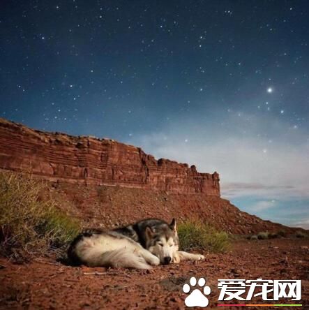 自从你说爱我以后我的天空星星都亮了，可是你去哪了呢