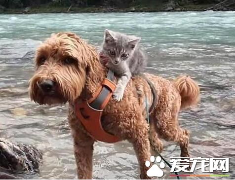 好朋友就是无论在什么情况下都不会抛弃你的