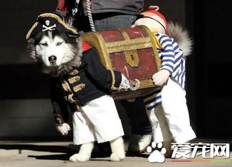 走，跟我当海盗去