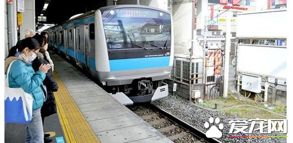 盲人落轨被撞 他最后一刻松手救了导盲犬一命