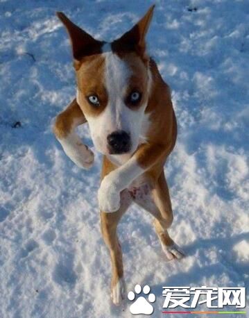 想打架？我可是练过拳击的