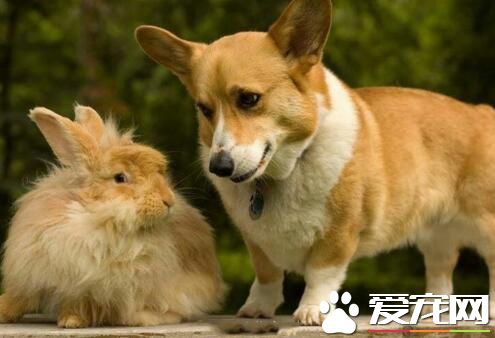 嘿嘿~终于找到一个腿比我短的了