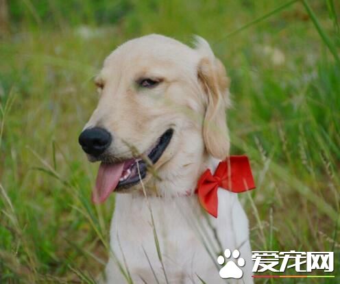 那么好的年纪，为什么不笑的更好看些