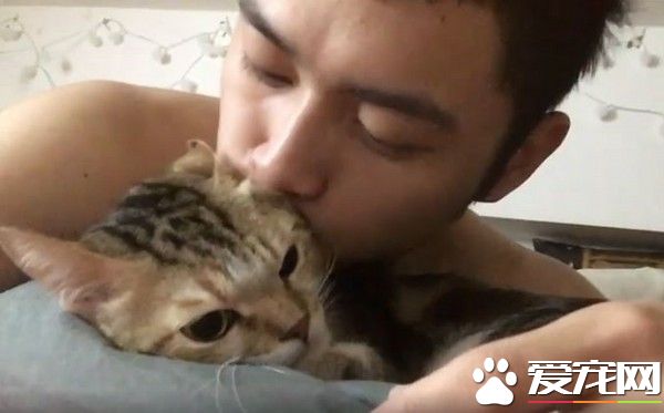 主人早安吻猫咪满脸 只为叫醒猫咪让它起床