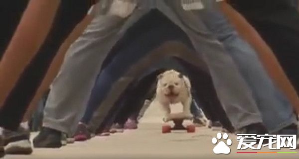 英斗化身滑板达人 15公尺人形隧道轻松过