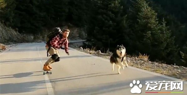带你看遍世界 主人牵着爱犬一起游希腊