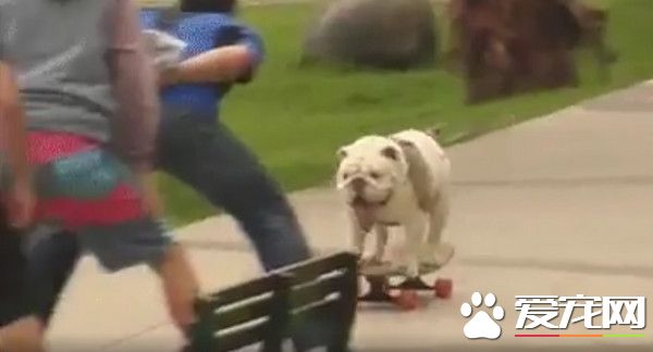 英斗化身滑板达人 15公尺人形隧道轻松过