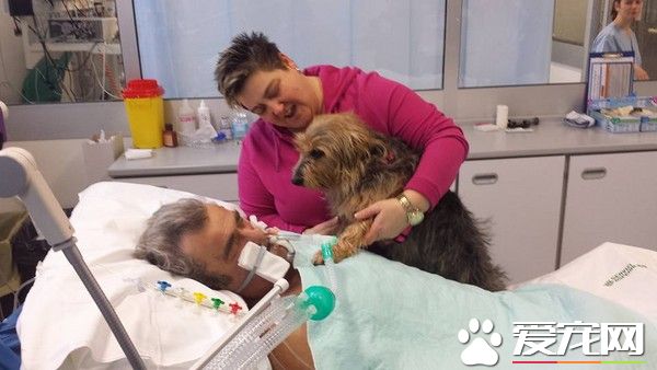 遛狗时心脏病发作 带爱犬去看望抽搐有反应