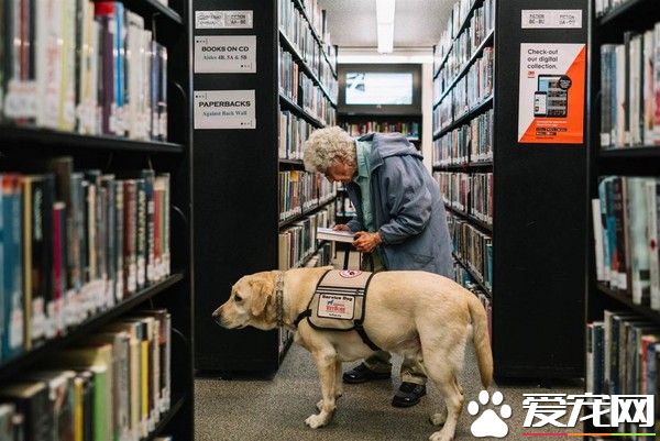 原以为人生将近 92岁阿婆惊喜相遇狗儿子