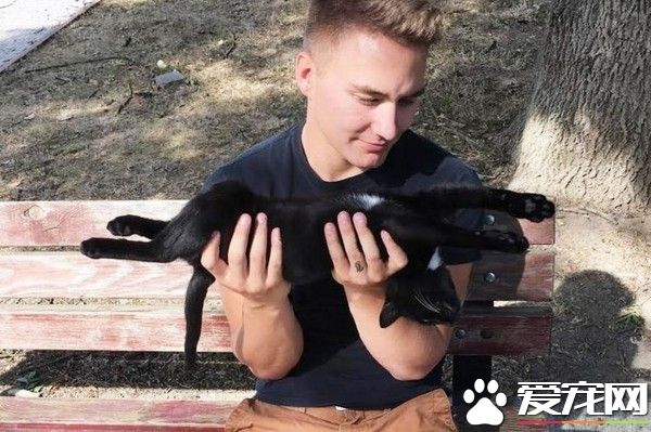 小黑猫天天陪美国兵站岗 霸占头盔霸气收服铲屎官