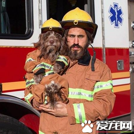 主人与狗穿情侣装 做什么都要黏在一起