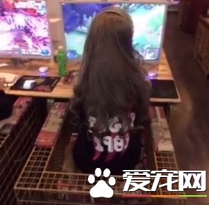 狗狗成背影杀手 背看一朵花近看哎呦我的妈