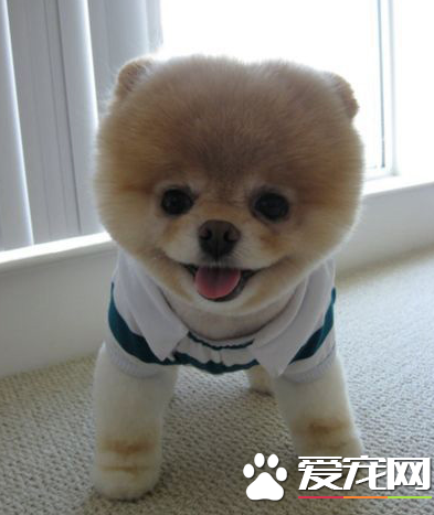 真的要带我出去玩吗？别骗我哦