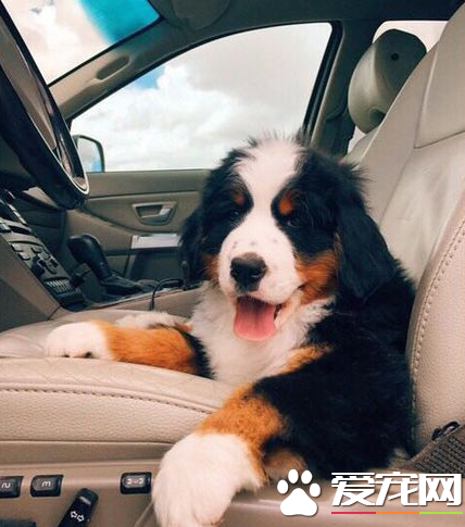 难得的好天气，美女约不约