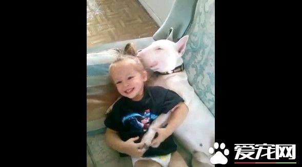 斗牛梗任小主人捏鼻摆布 睡梦中还不忘陪玩亲亲