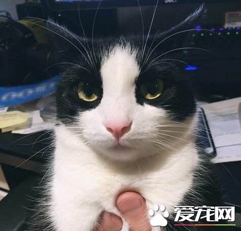 快放开我，不然我要森气了