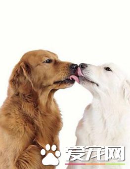 爱情就是如此的美好