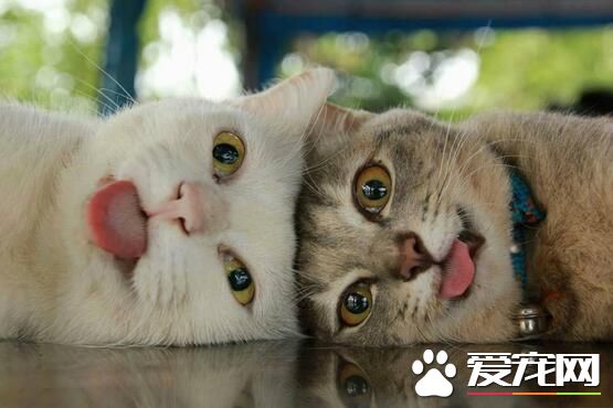 两个逗比的自拍