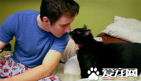 这只小猫的意外出现，却改变了一个美国大兵的一生，我也想要一只