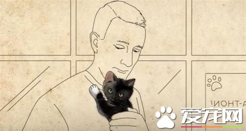 这只小猫的意外出现，却改变了一个美国大兵的一生，我也想要一只