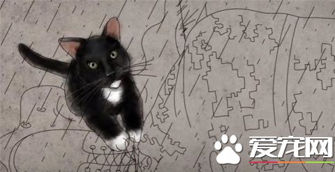 这只小猫的意外出现，却改变了一个美国大兵的一生，我也想要一只