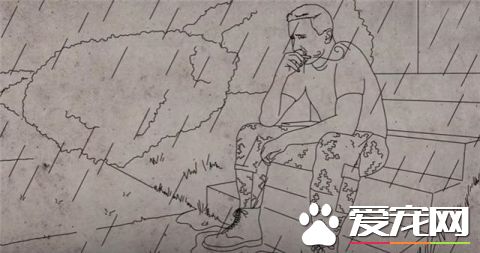 这只小猫的意外出现，却改变了一个美国大兵的一生，我也想要一只