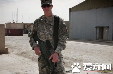 这只小猫的意外出现，却改变了一个美国大兵的一生，我也想要一只