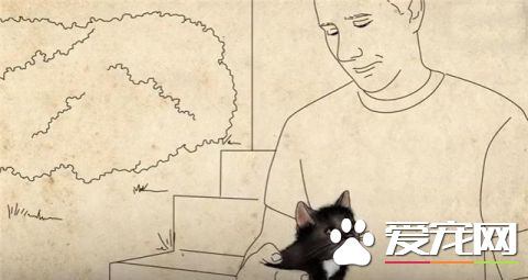 这只小猫的意外出现，却改变了一个美国大兵的一生，我也想要一只