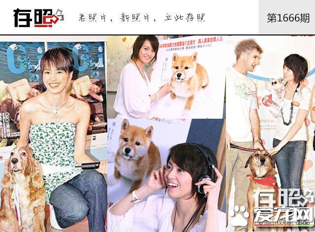 这些明星养的宠物 莫文蔚为离世宠物猫做唱片