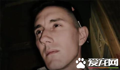 这只小猫的意外出现，却改变了一个美国大兵的一生，我也想要一只